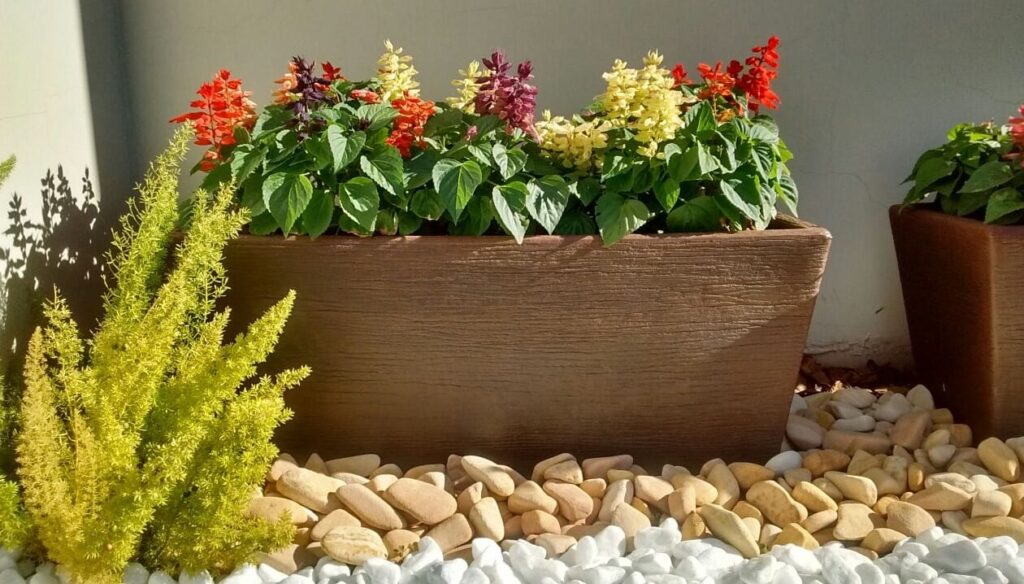 Image gallery image