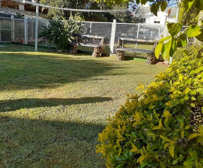Image gallery image