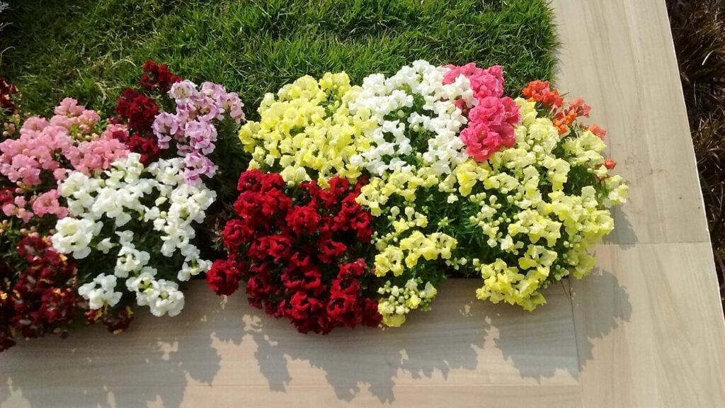 Image gallery image