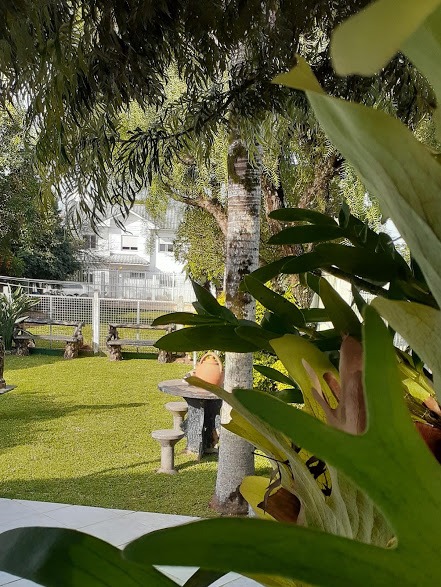 Image gallery image