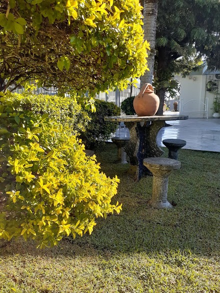 Image gallery image