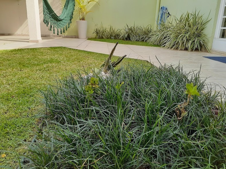 Image gallery image
