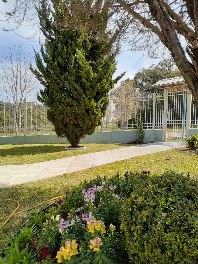 Image gallery image