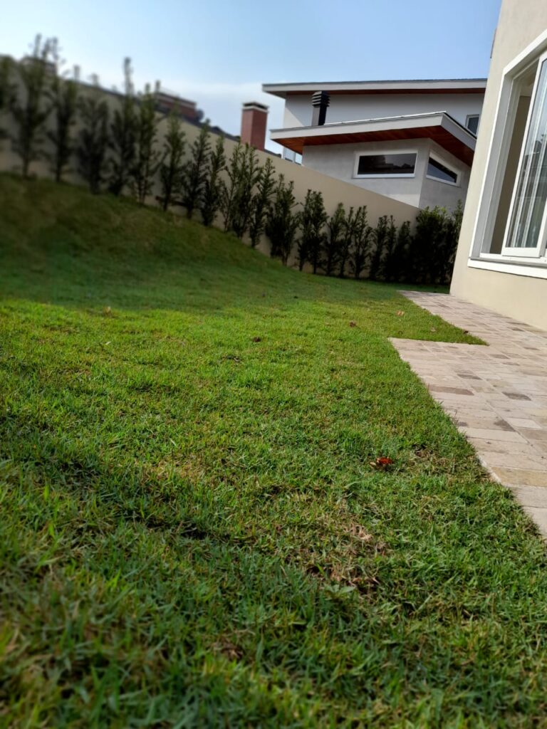 Image gallery image