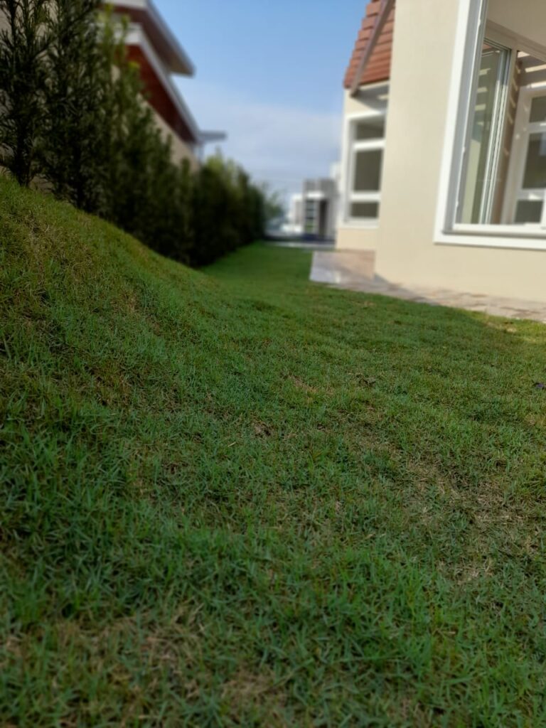 Image gallery image