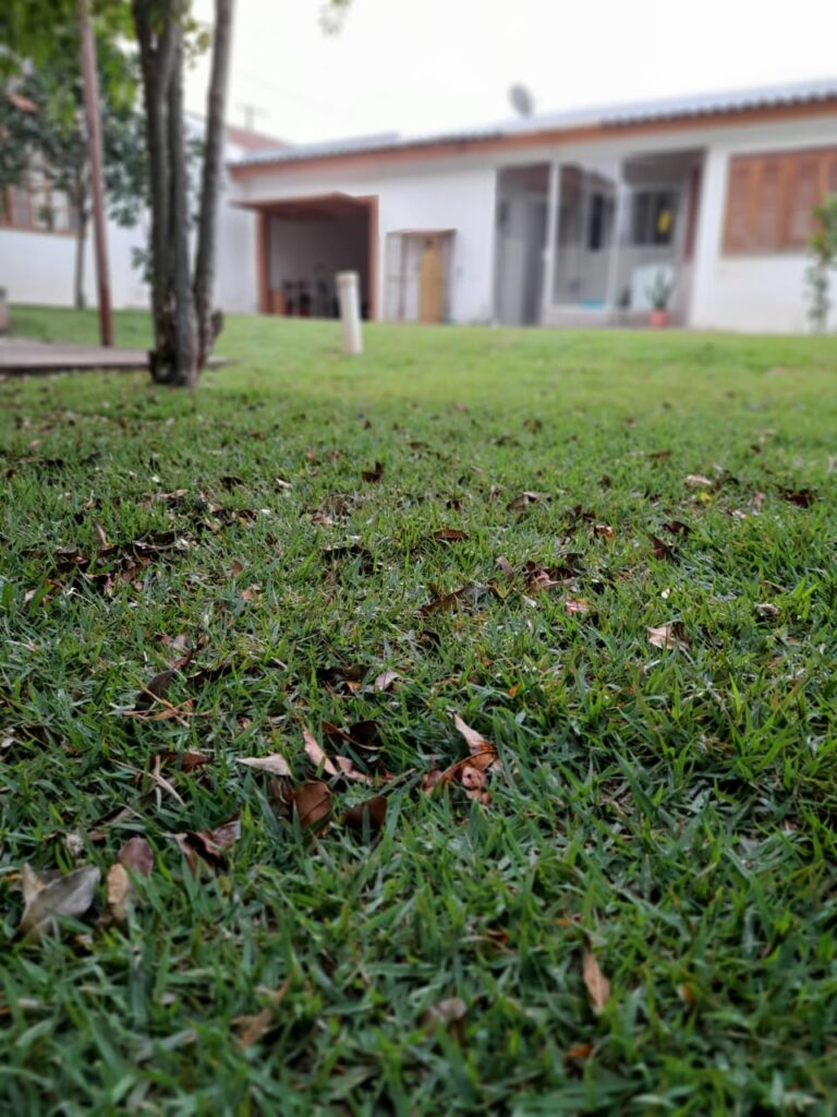 Image gallery image
