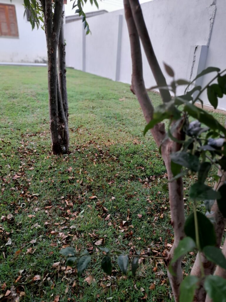 Image gallery image
