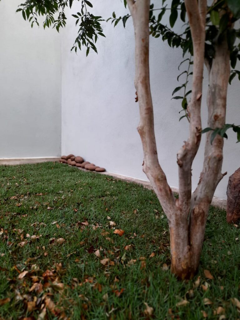 Image gallery image