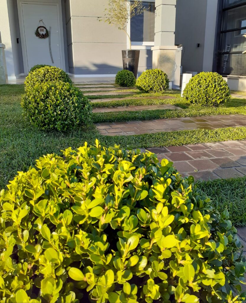 Image gallery image