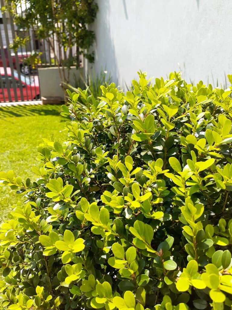 Image gallery image