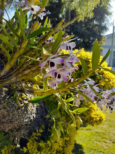 Image gallery image