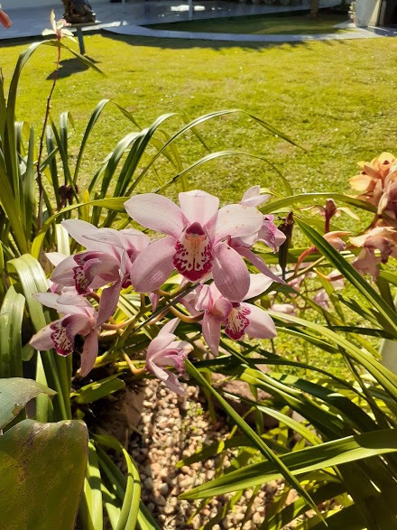 Image gallery image