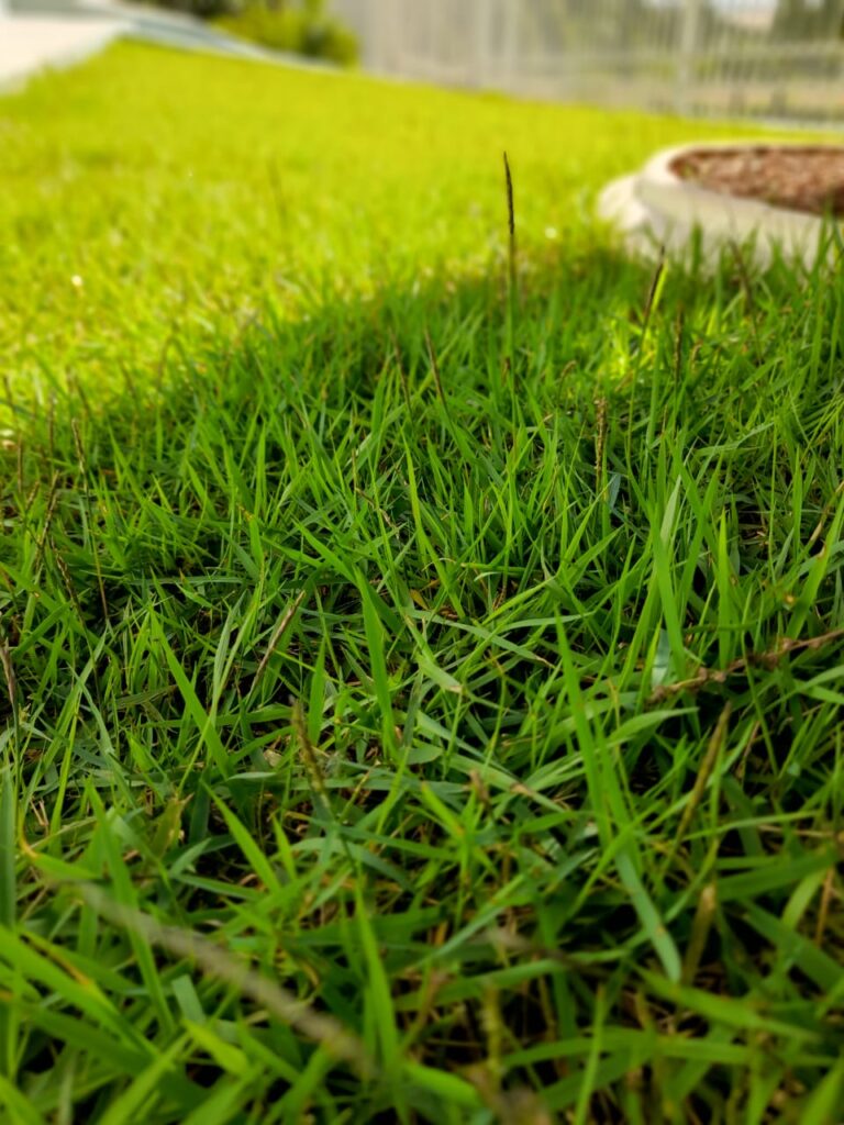 Image gallery image
