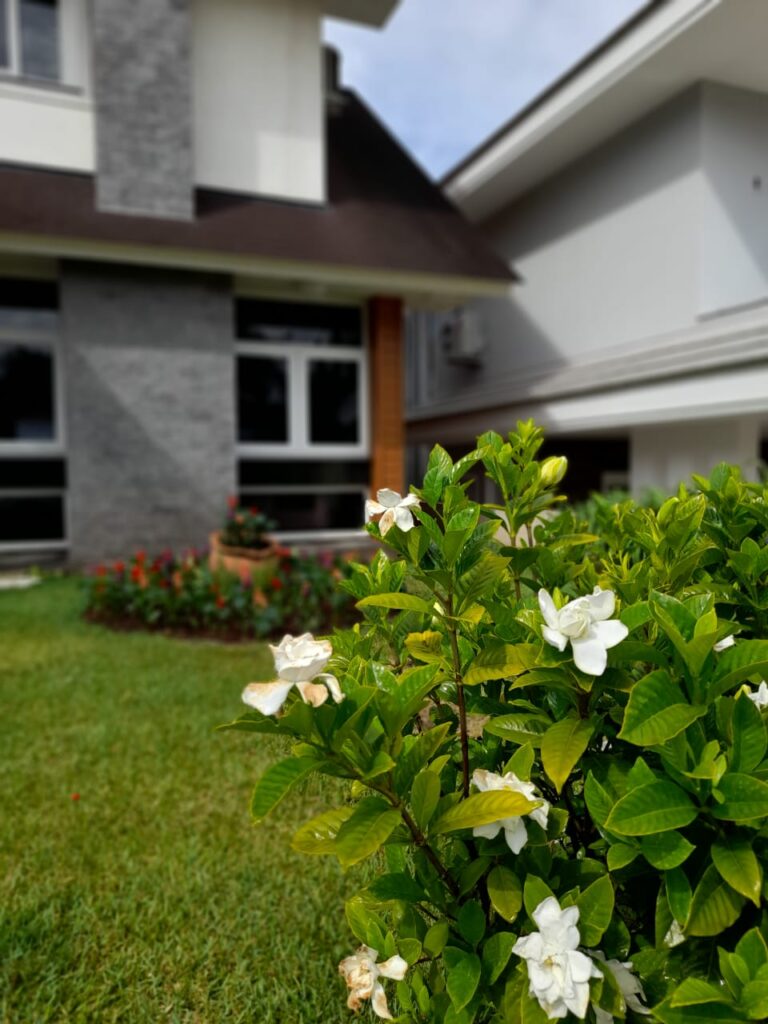 Image gallery image