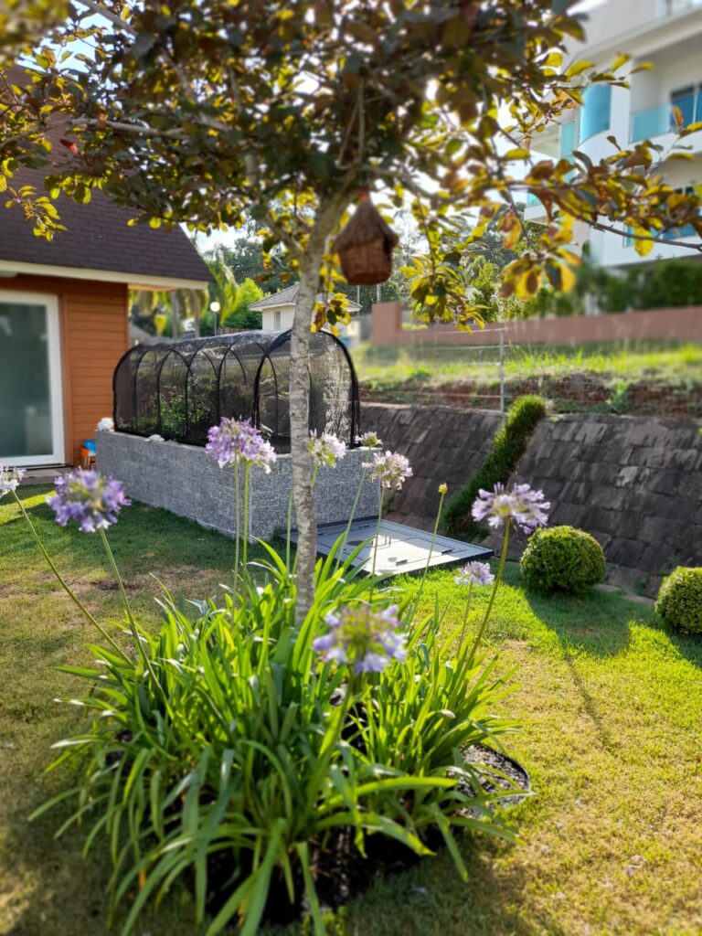 Image gallery image