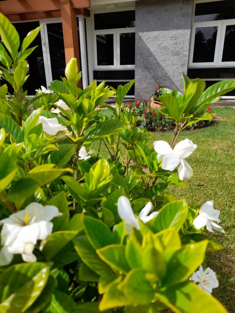 Image gallery image