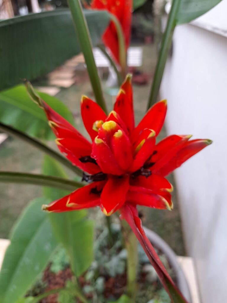 Image gallery image