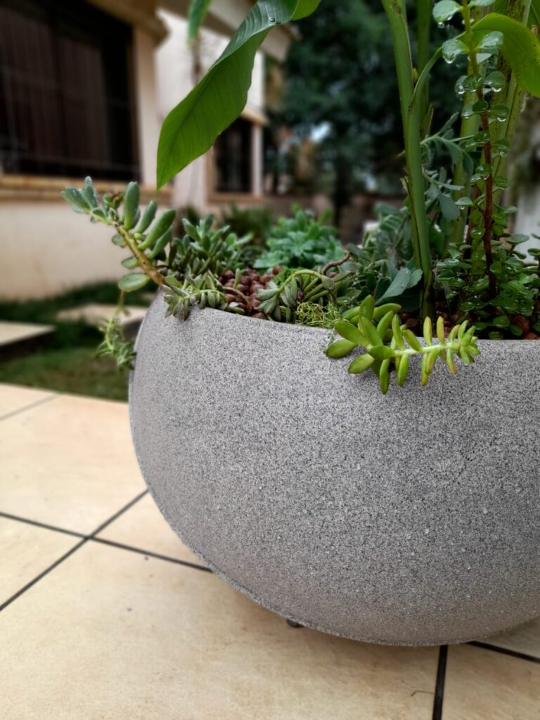 Image gallery image