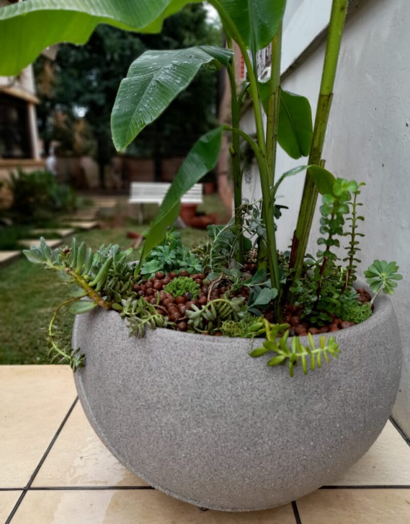 Image gallery image