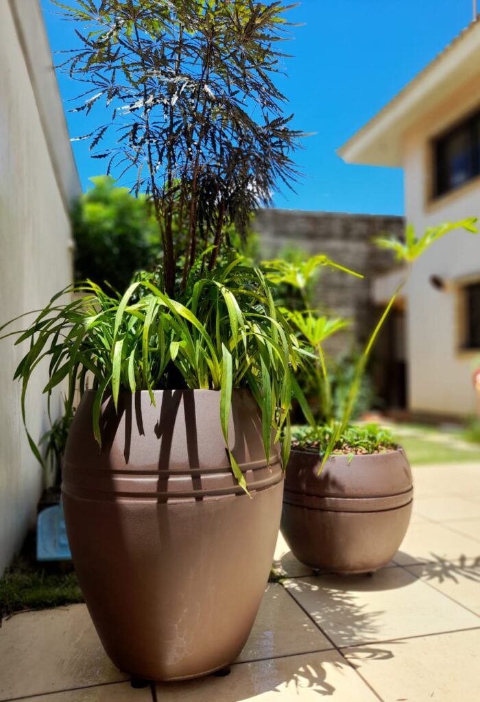 Image gallery image