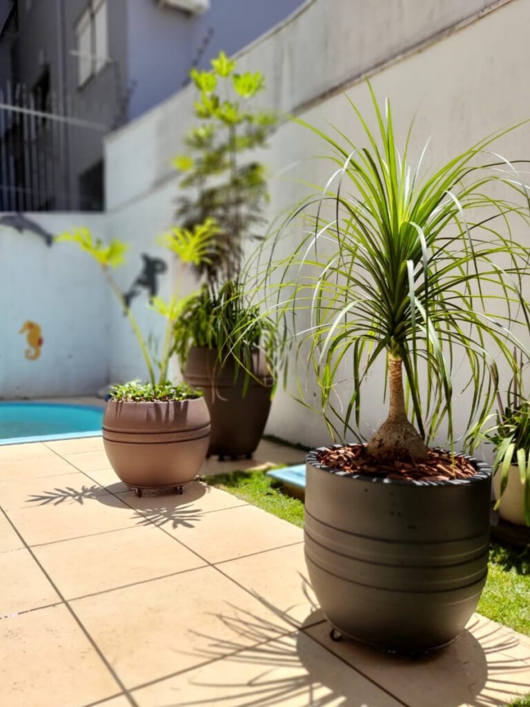 Image gallery image