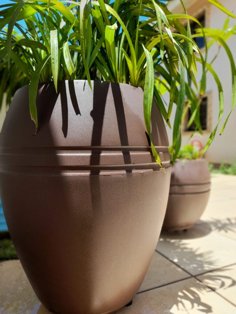 Image gallery image