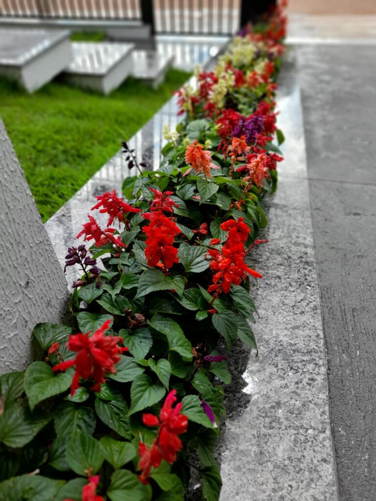 Image gallery image