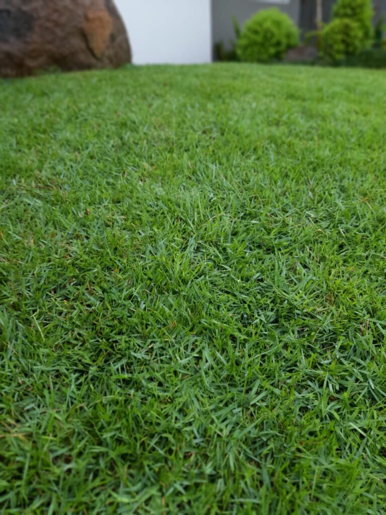 Image gallery image