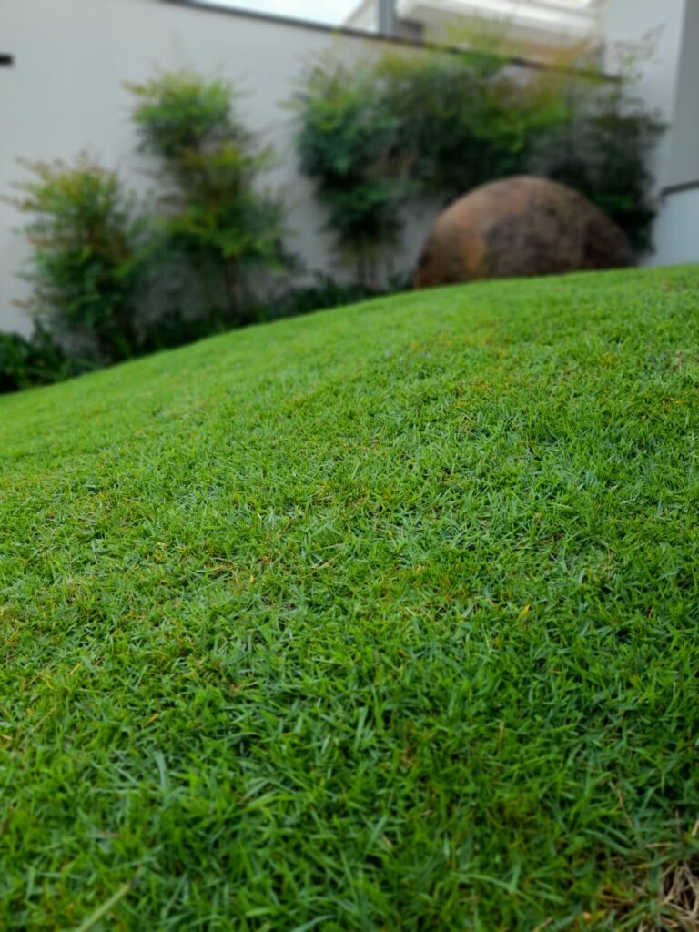 Image gallery image