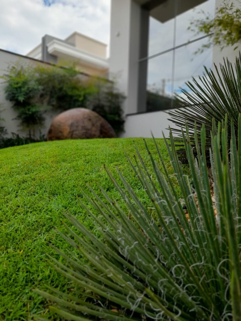 Image gallery image
