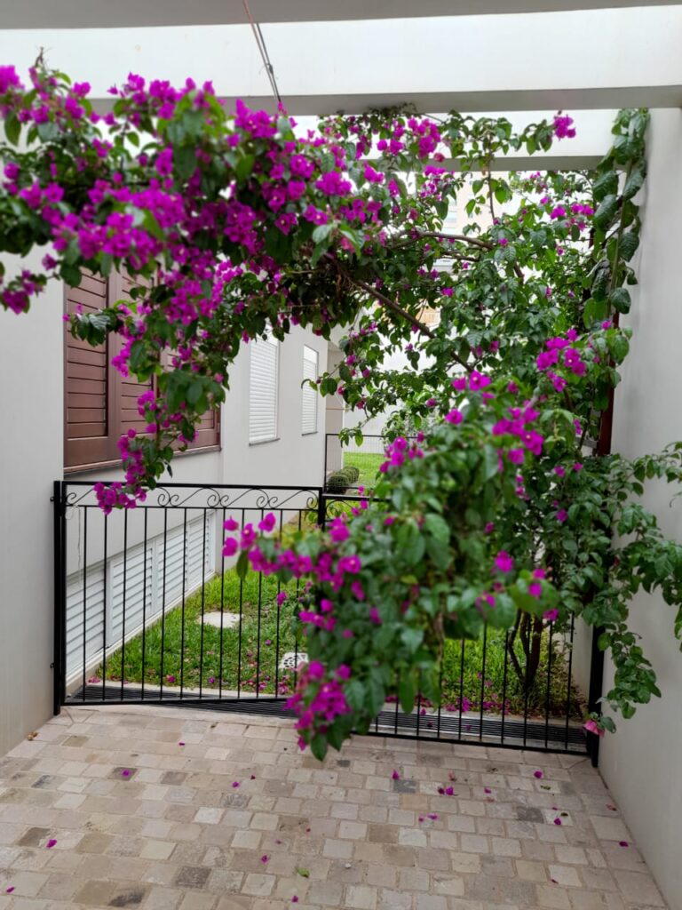 Image gallery image