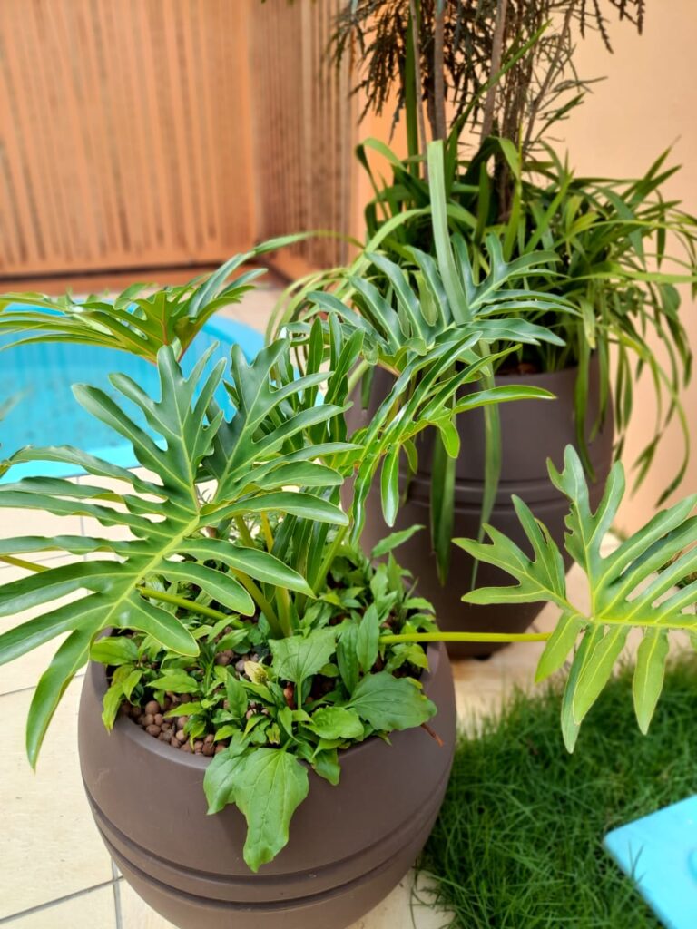 Image gallery image