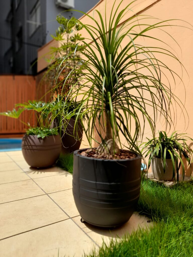 Image gallery image