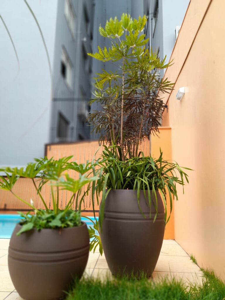Image gallery image