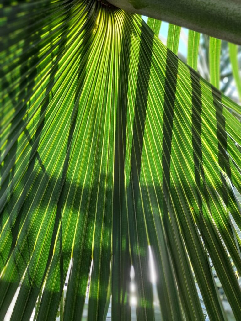 Image gallery image