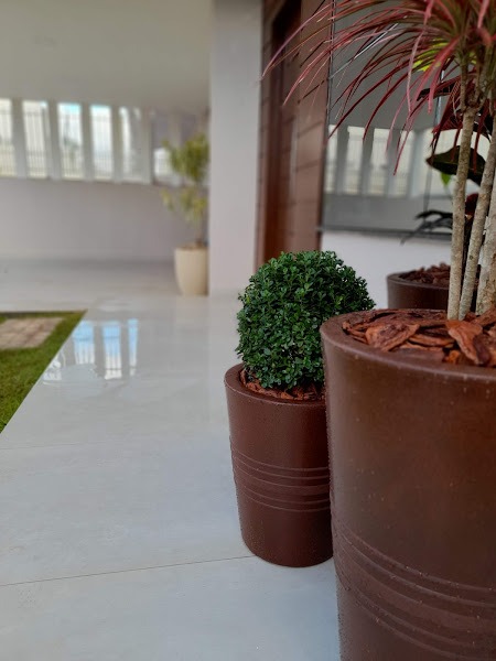 Image gallery image