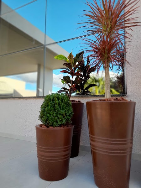 Image gallery image