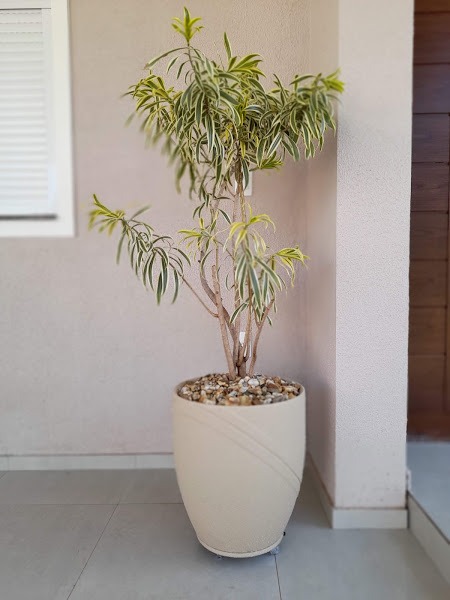 Image gallery image