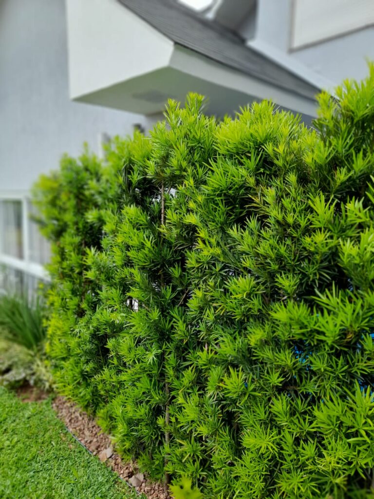 Image gallery image