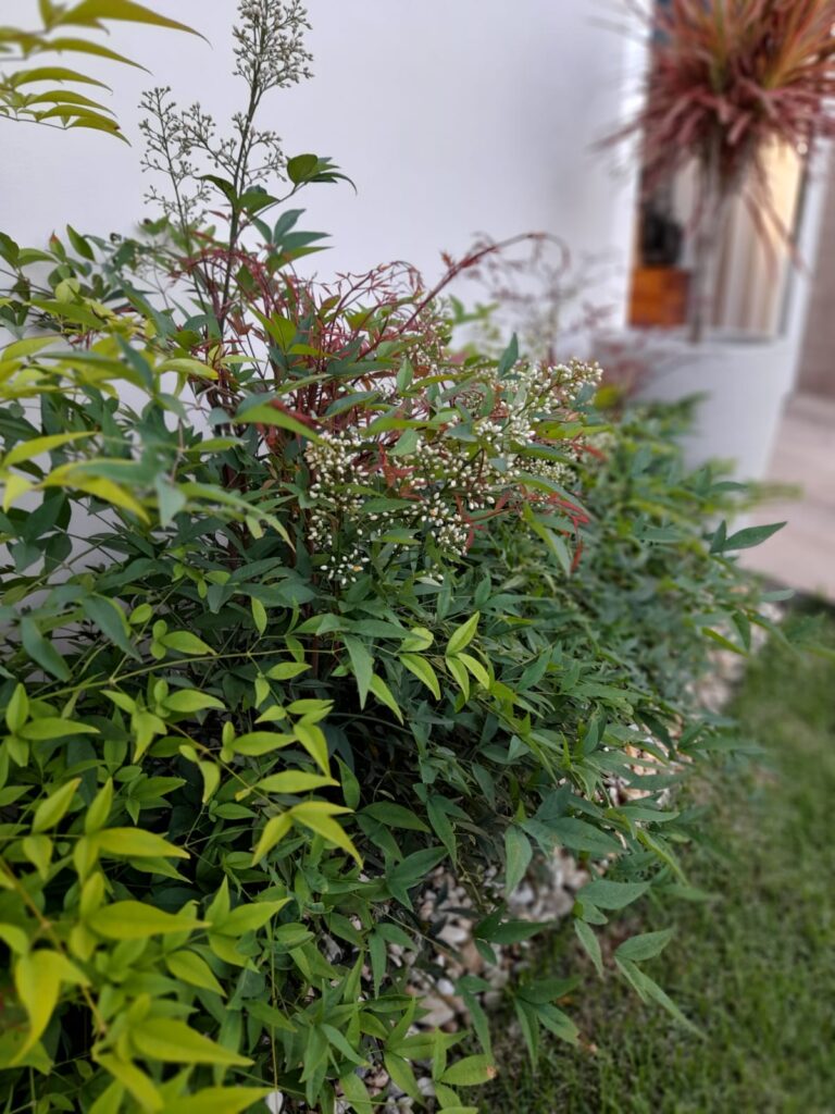 Image gallery image