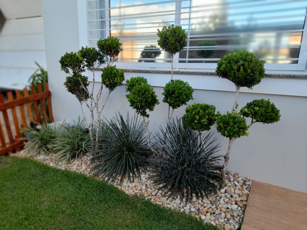 Image gallery image