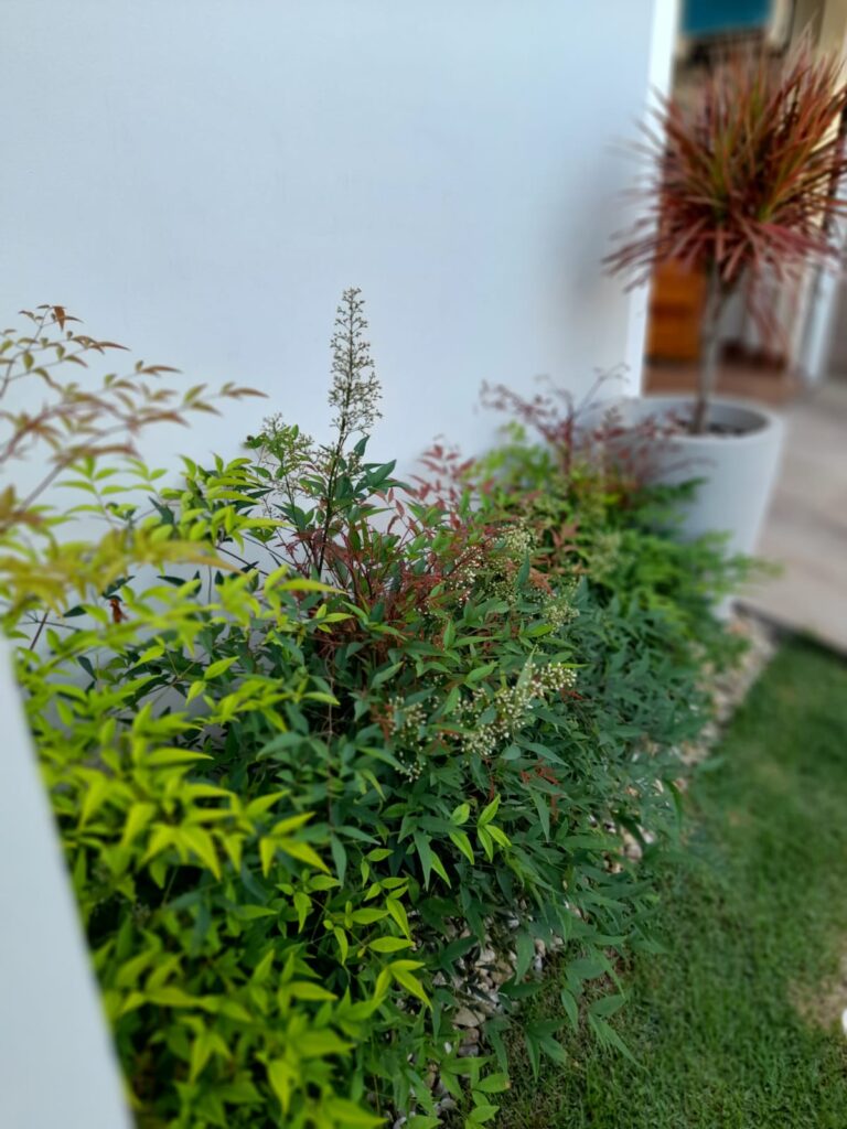 Image gallery image