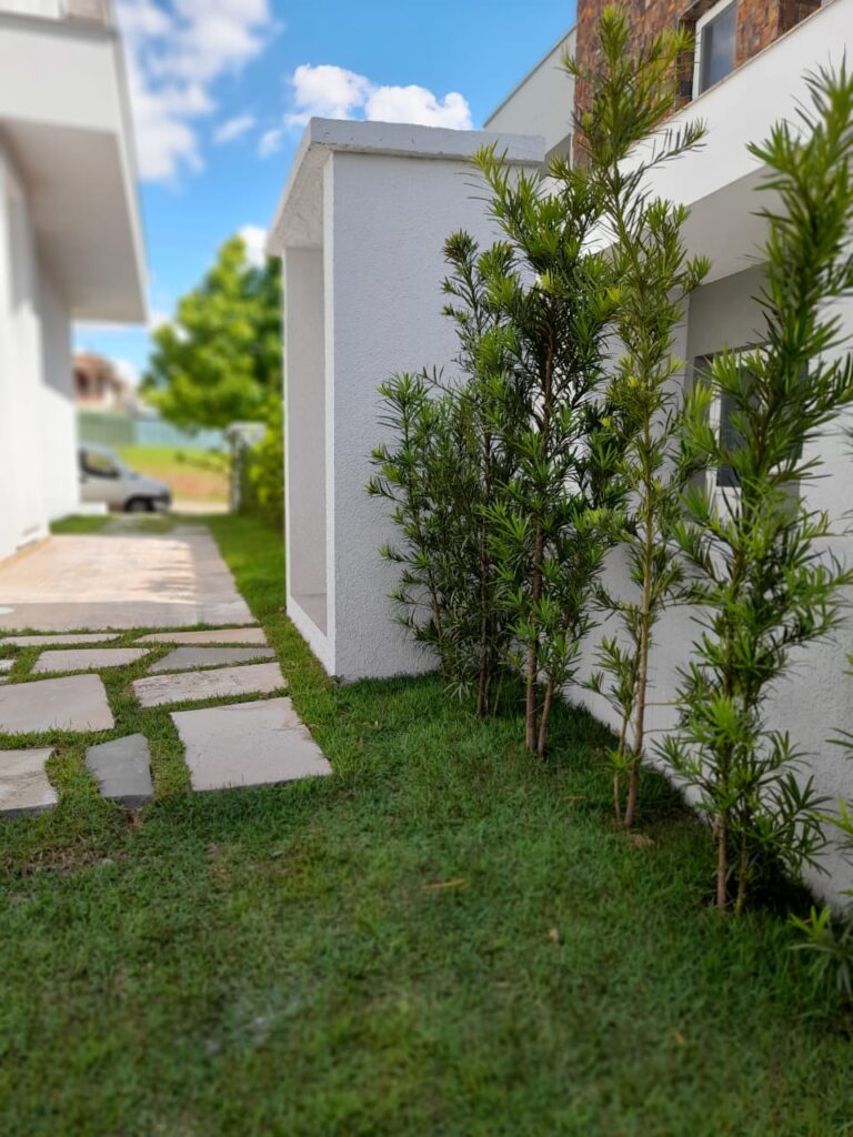Image gallery image
