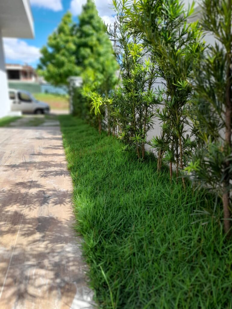 Image gallery image