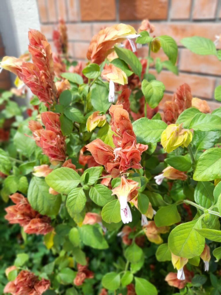 Image gallery image