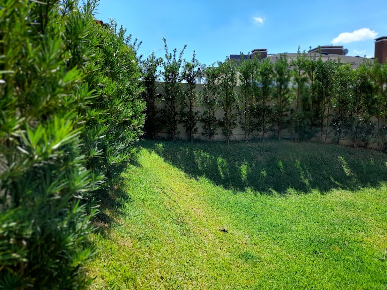 Image gallery image